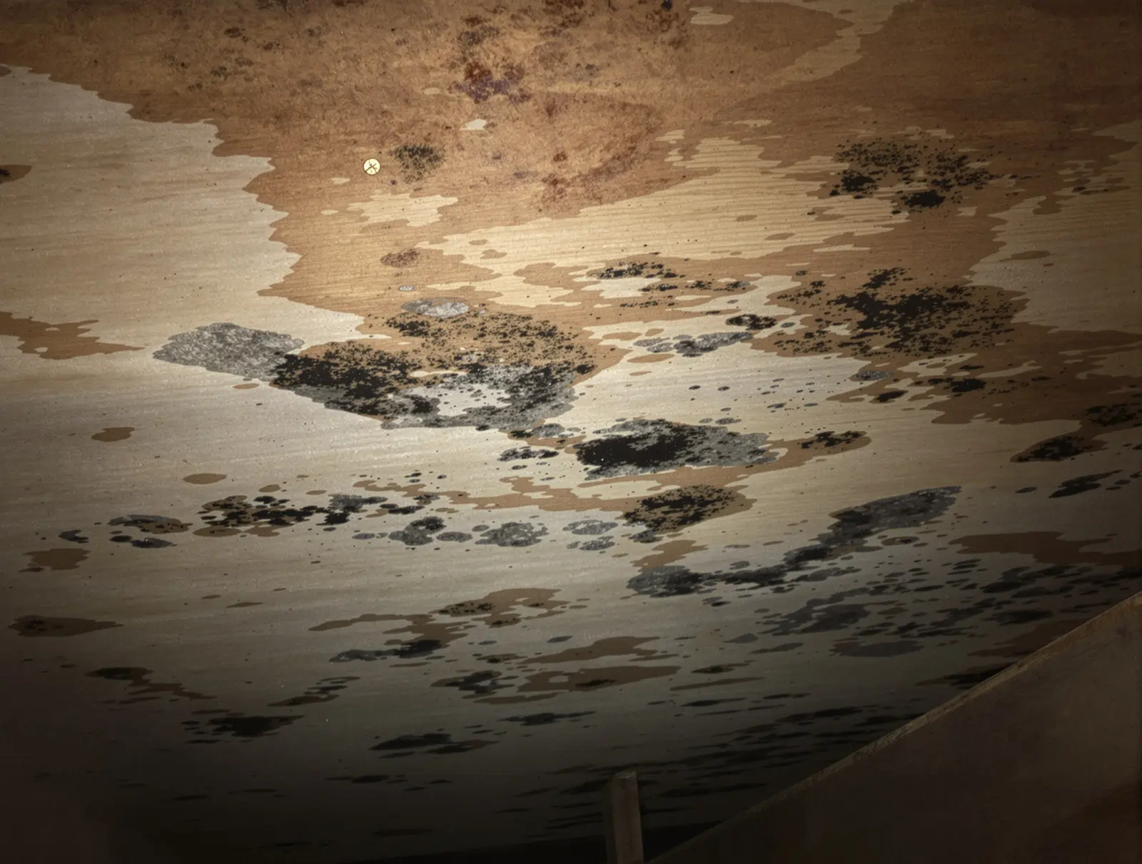 Dark moisture staining on the underside of a roof deck indicating condensation or leak damage